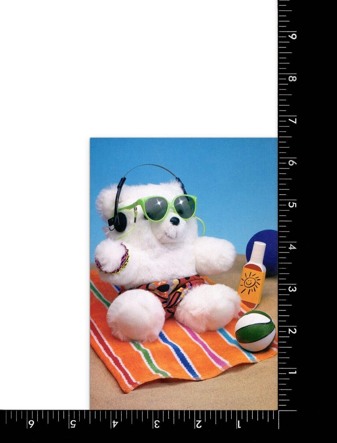 Funny BIRTHDAY Card, Teddy Bear Beach Party Sunglasses by Olympicard + Envelope