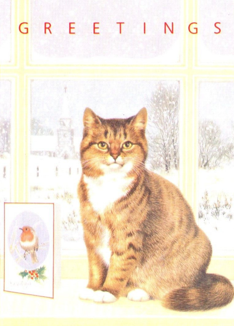 CAT AT WINDOW Paper Images Christmas Greeting Card w/ Envelope MG62