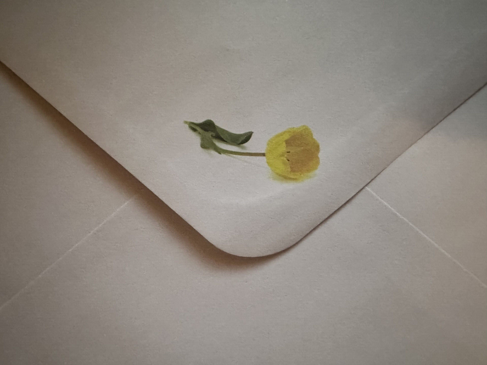 With Deepest Sympathy -Yellow tulips in a field – approx 5.5″ X 7.5″