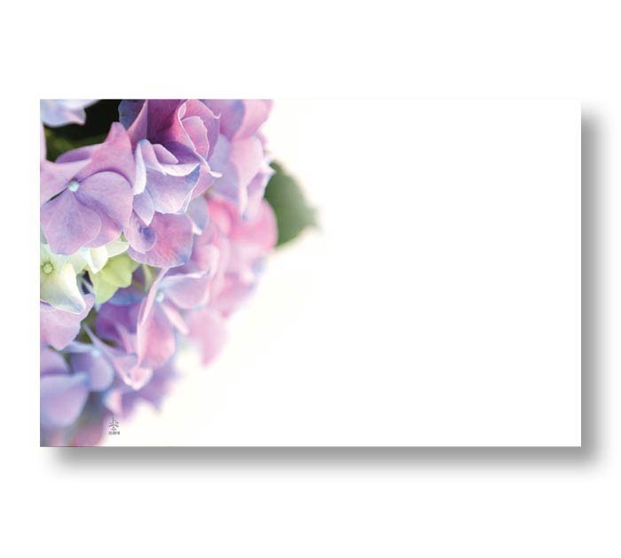Enclosure Card Elegant Design Hydrangea Spring Floral Collectible Pack of 50