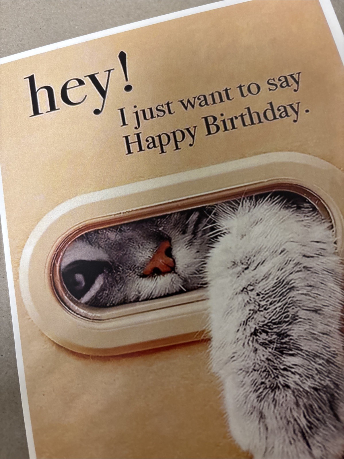 Happy Birthday Funny & Cute Cat Hey! 4.25”x6.25” Blank Inside Greeting Card