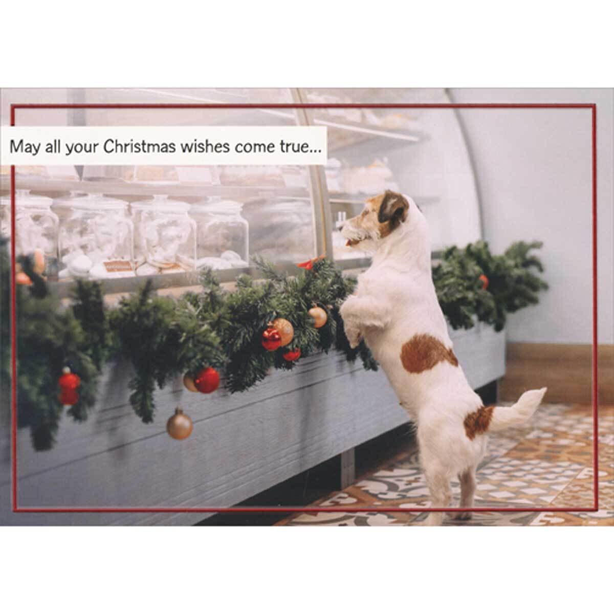 White Brown Dog Looking Through Deli Window Box of 12 Funny Christmas Cards