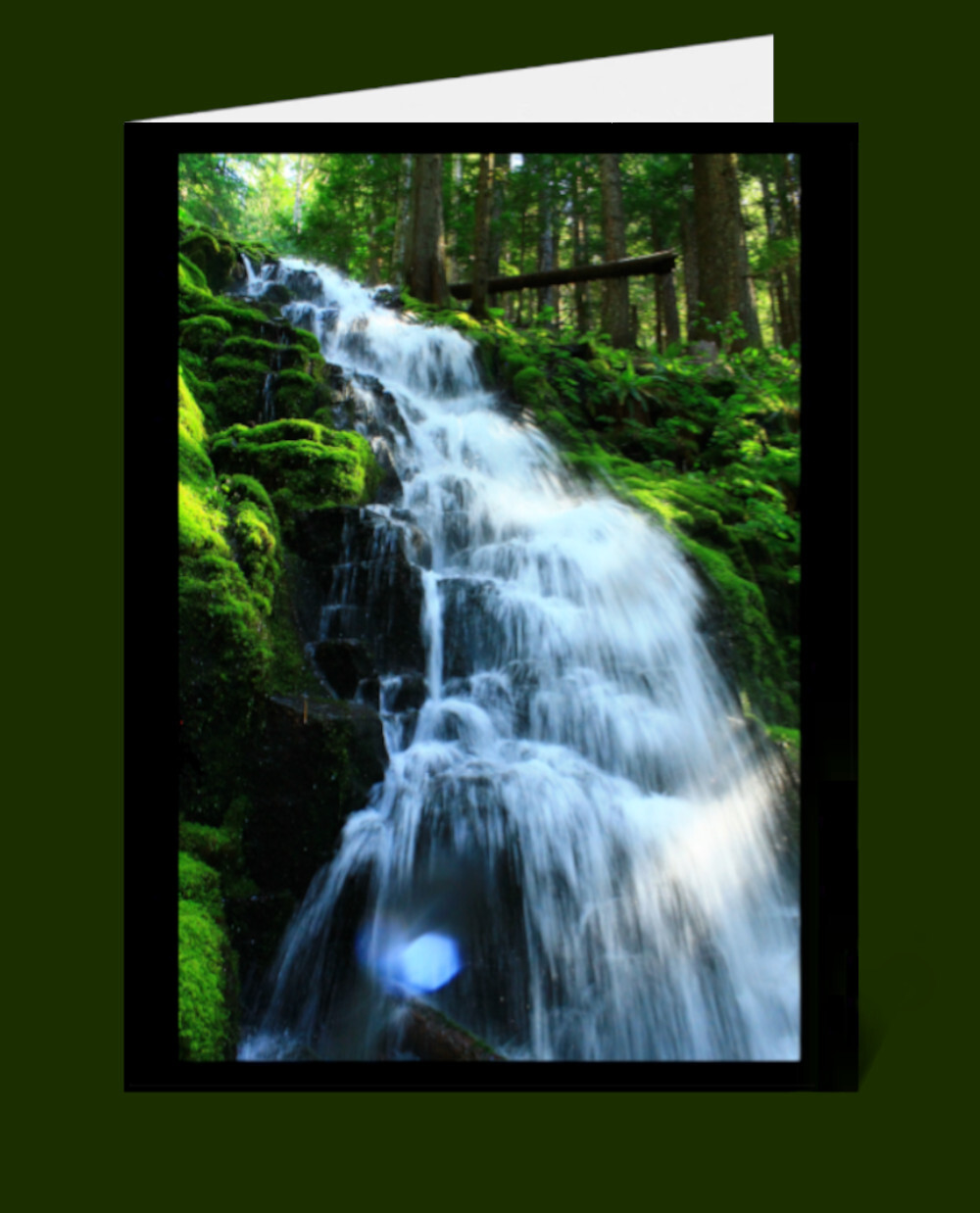 Nature Greeting Cards & Envelopes Blank 100% Recycled Windpower-made Paper