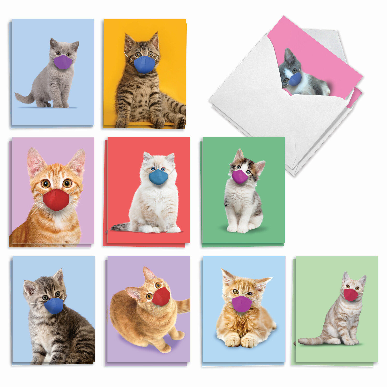 20 Blank All Occasion Cards (10 Designs, 2 Each) – Masked Cats AM9261OCB-B2x10