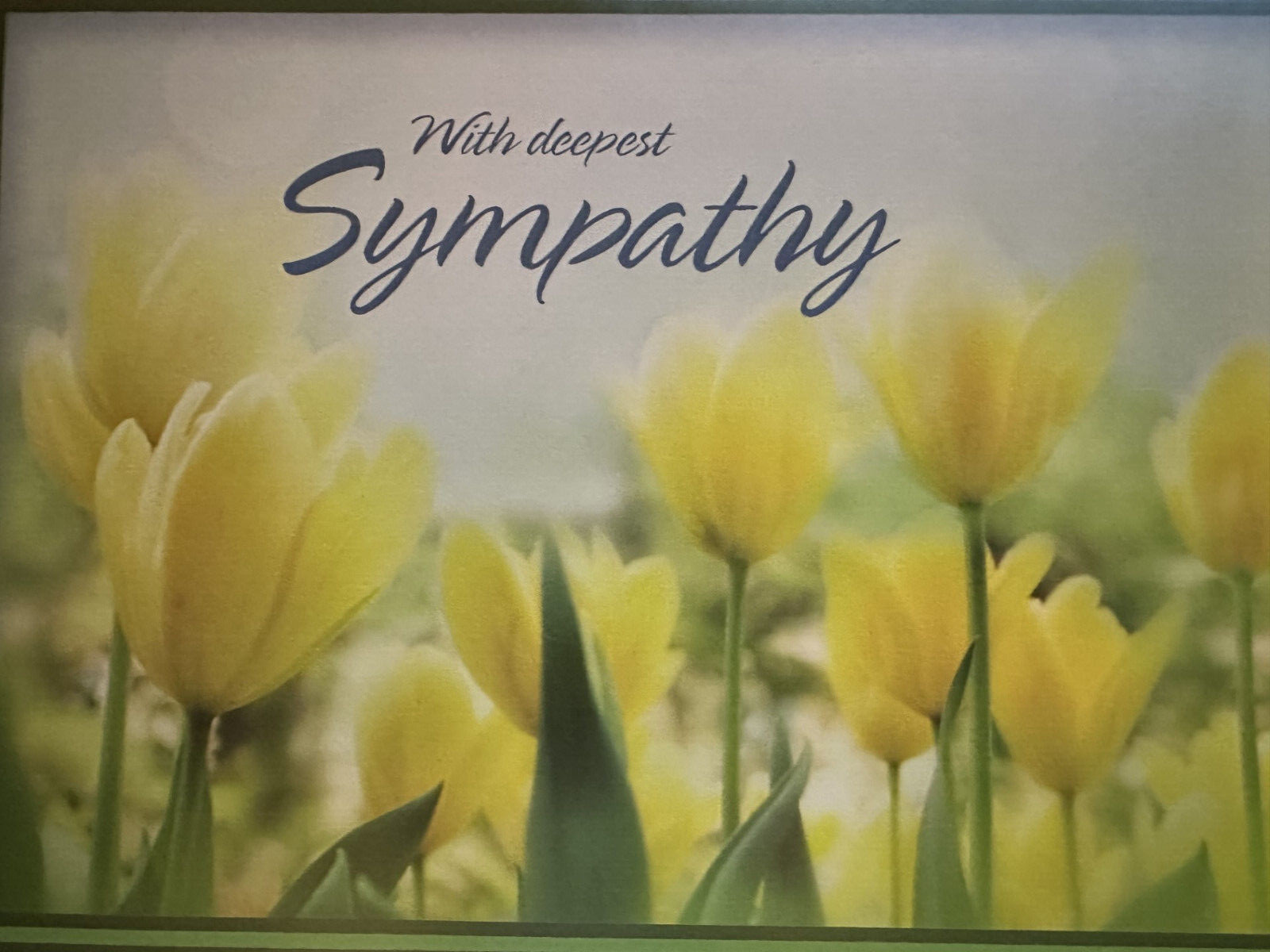 With Deepest Sympathy -Yellow tulips in a field – approx 5.5″ X 7.5″