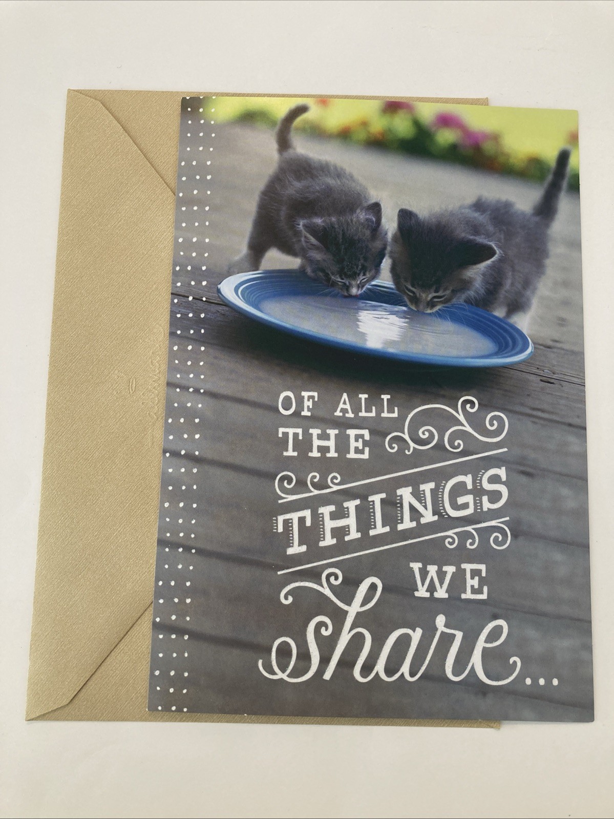 Friend Friendship HALLMARK Card ” Our friendship is my favorite” CAT