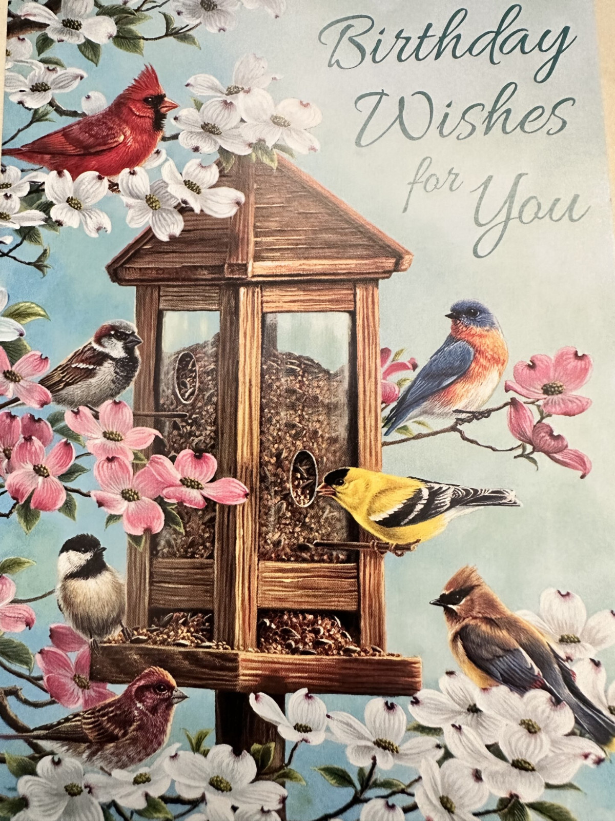 “Birthday Wishes for You” – Birds in a Bird Feeder- Approx 4.75″ X 6.75″