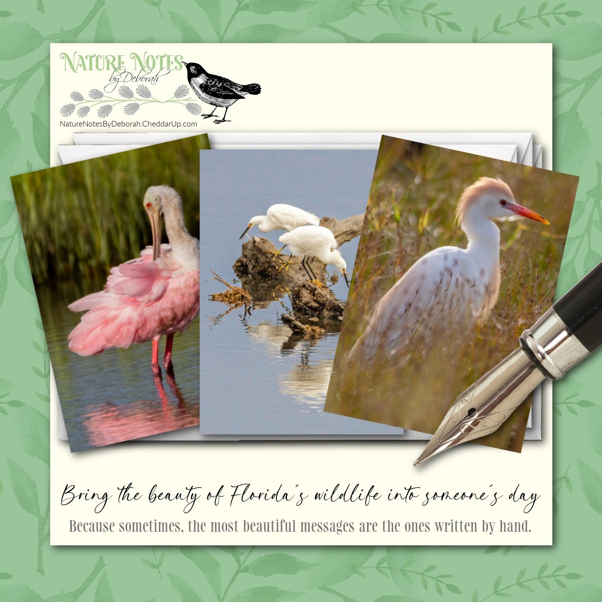 Roseate Spoonbill Wildlife Greeting Card 3 Pack 5×7 Frameable Photography Blank