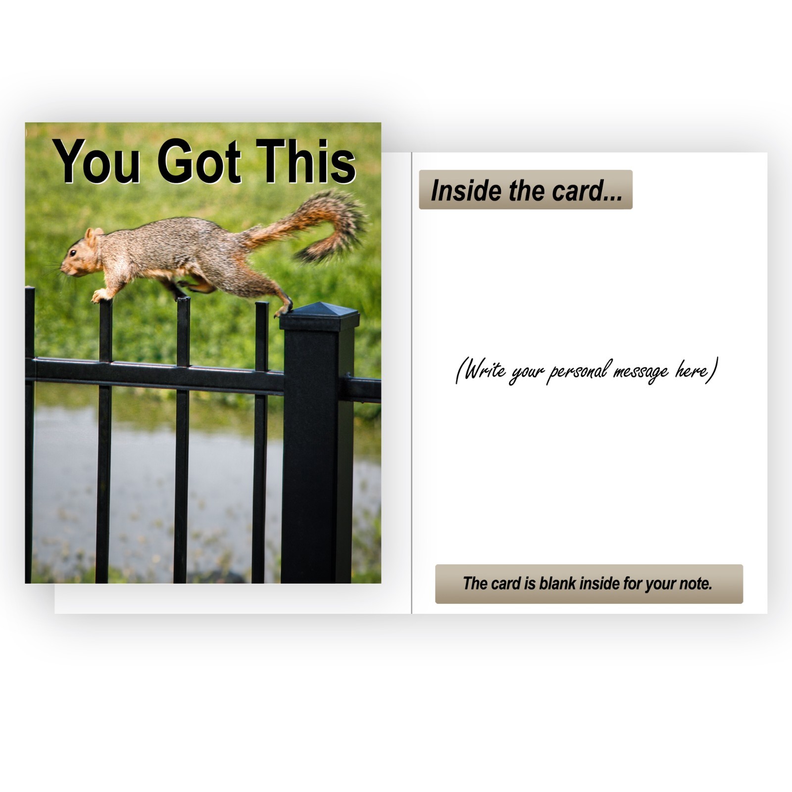 Sure-Footed Squirrel You Got This Encouragement/Motivational Greeting Card