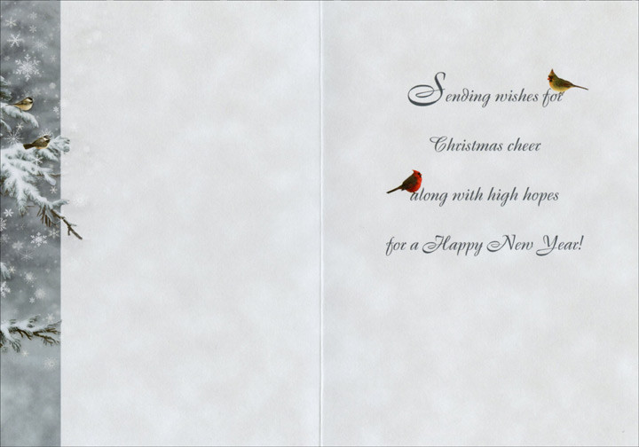 Santa in Robe LPG Greetings Christmas Card