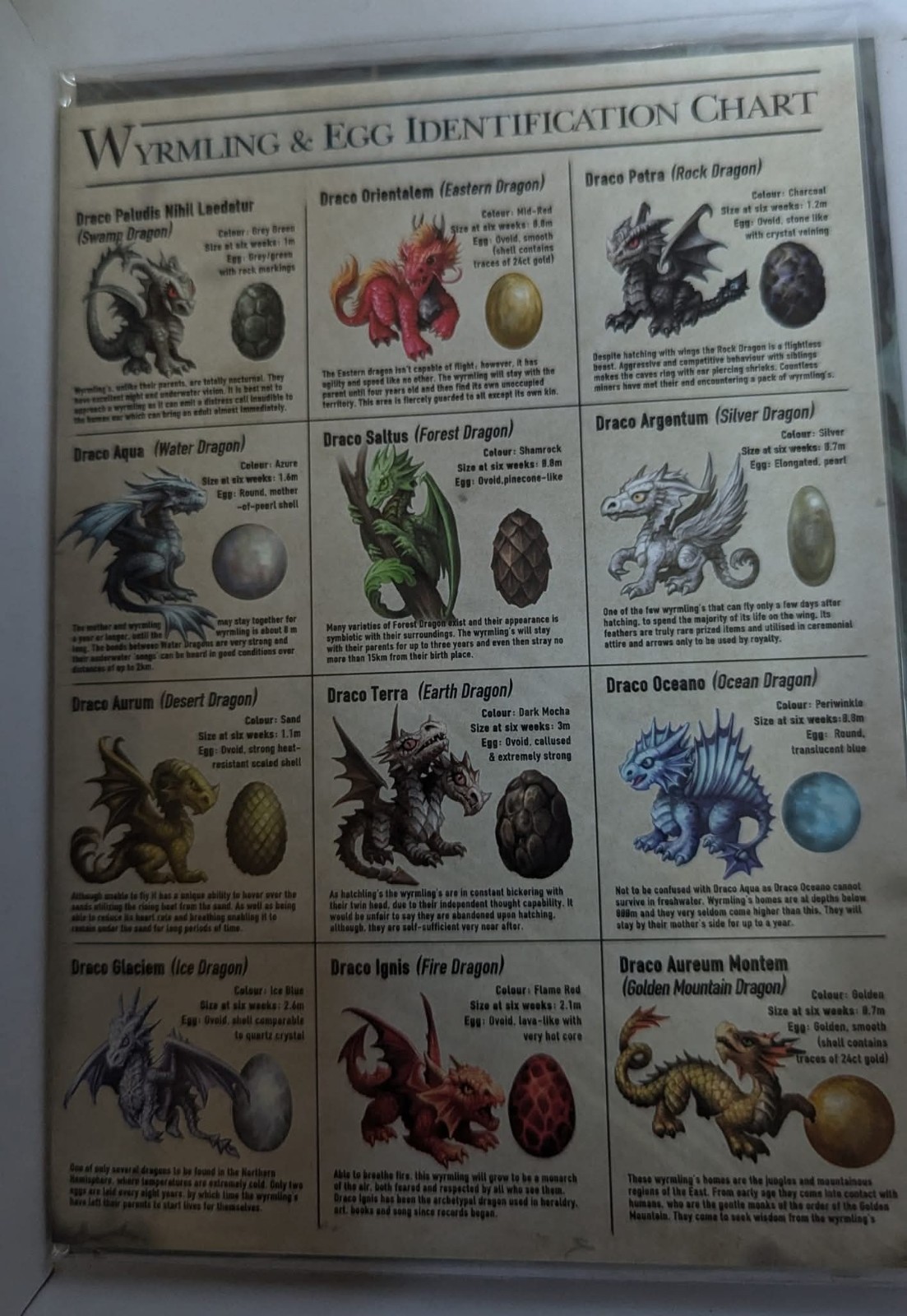 Wyrmling and Egg Identification Dragon Chart Greeting Card by Anne Stokes