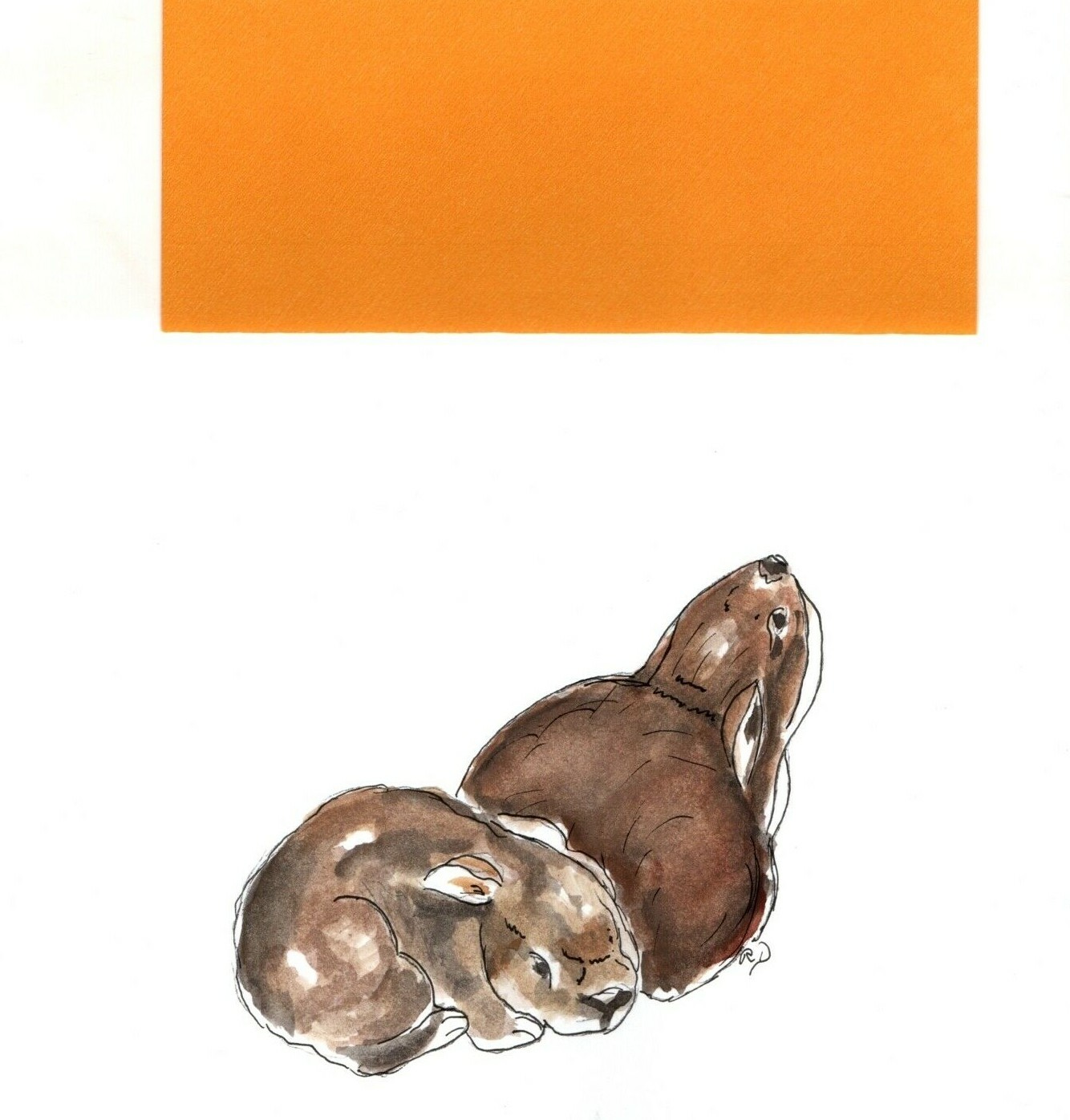 Brown Bunny Bunnies Garden Rabbits Blank Inside Hand Painted Greeting Card