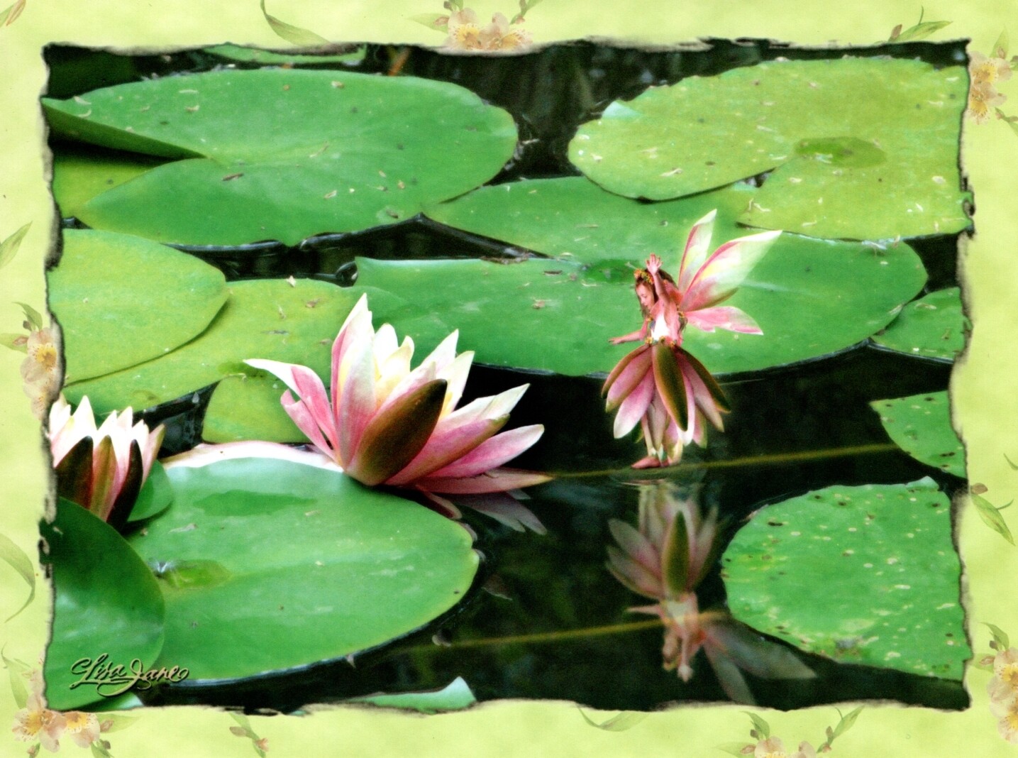 Get Well Soon Pink Fairy Fairies Lily Pad Pads Lisa Jane Greeting Card