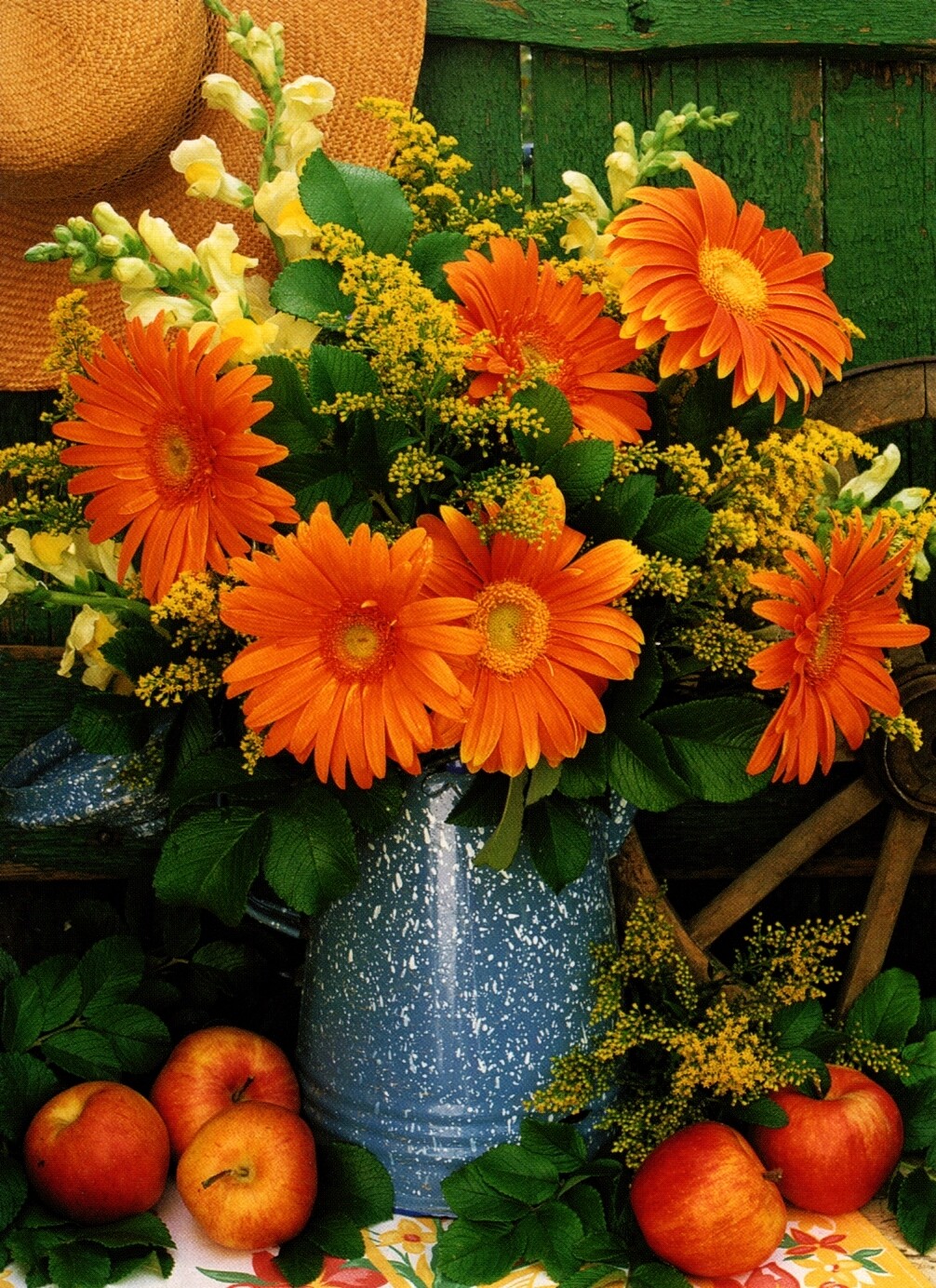 Happy Birthday Daisy Daisies Apple Apples Gardening Hat Theme Greeting Card