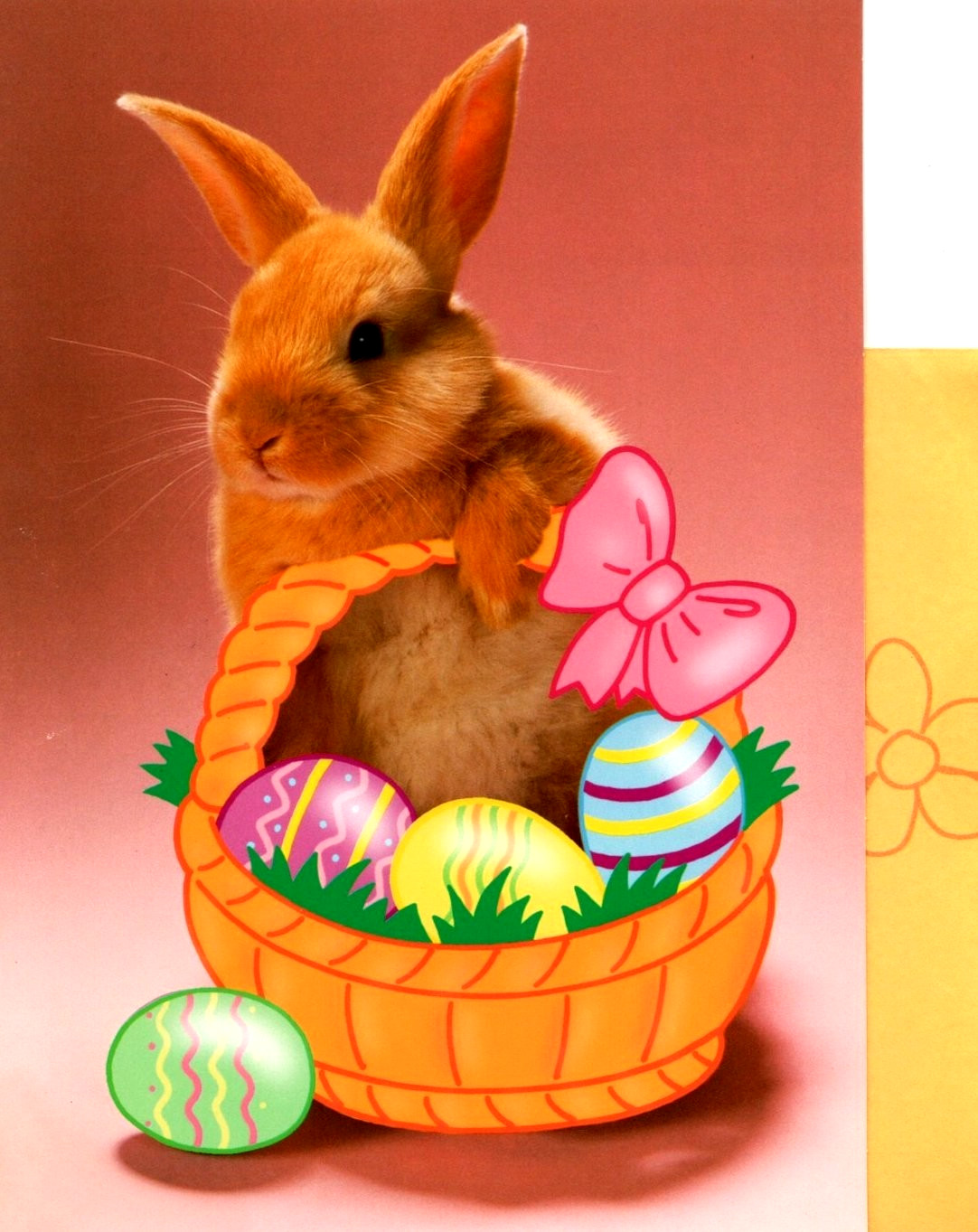 Funny Happy Easter Bunny Hare Hair In My Colored Eggs Hallmark Greeting Card