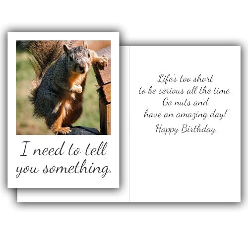 Funny Squirrel Greeting Card | Birthday Card