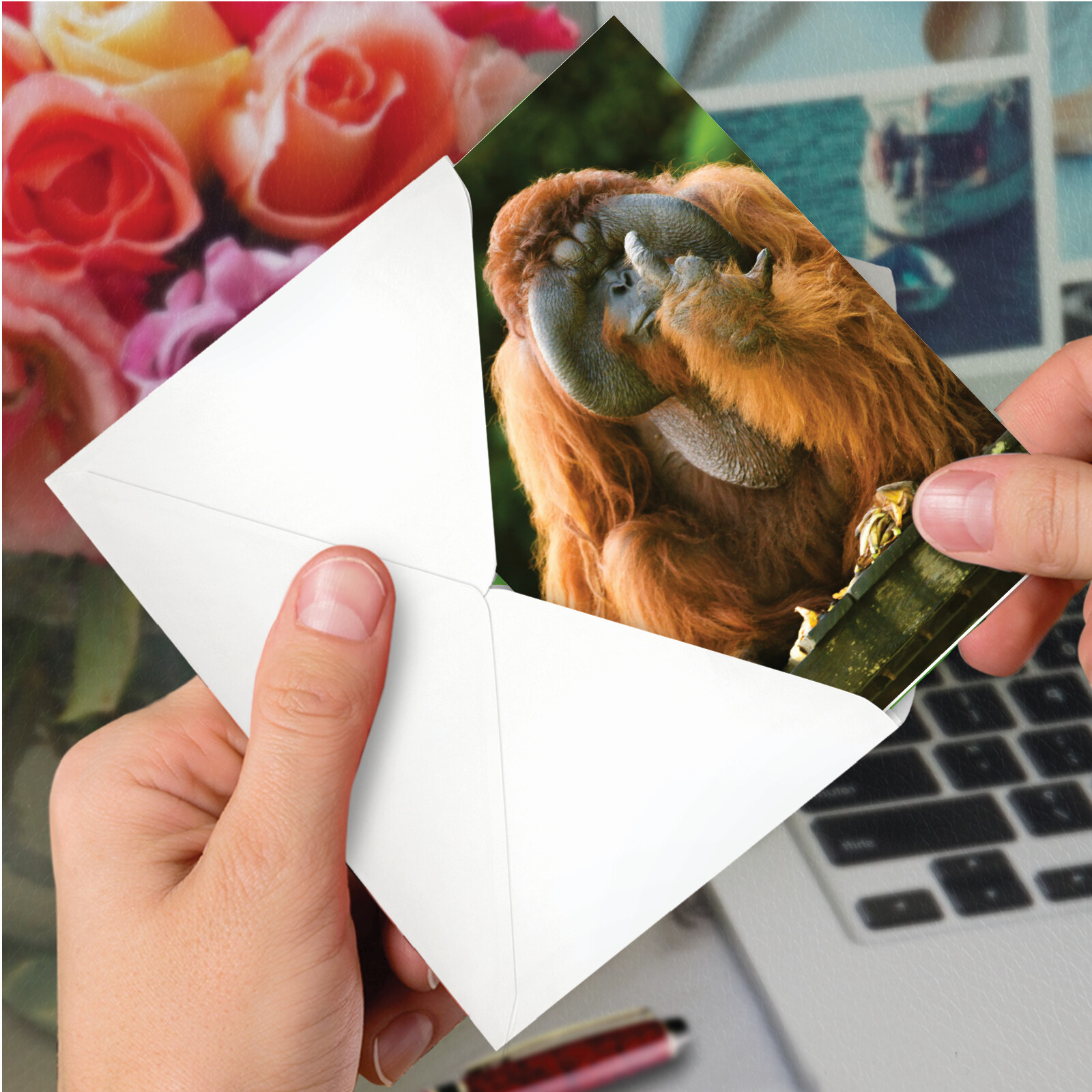Funny Birthday Card w/ 5″ x 7″ w/ Envelope Birthday Flipping Monkey-Orangutan