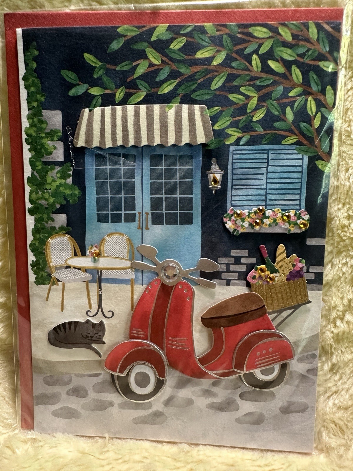 Papyrus BLANK Card All Occasion Cafe 3D Die Cut Scooter Cat Jeweled Flowers CUTE