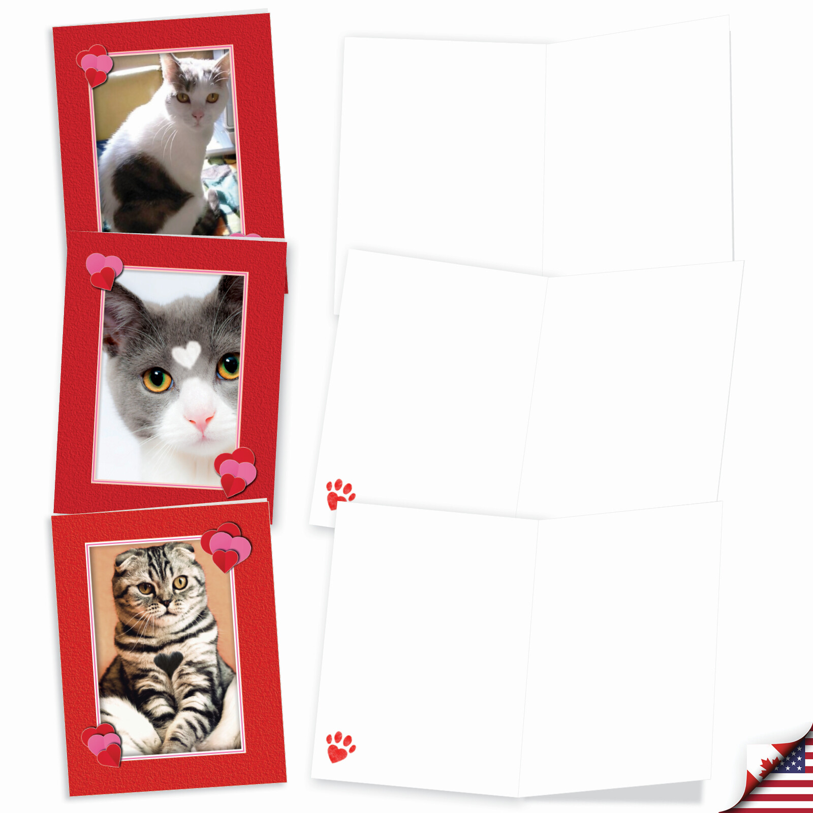 10 All Occasion Blank Note Cards – Heartfelt Cats M5658OCB-B1x10