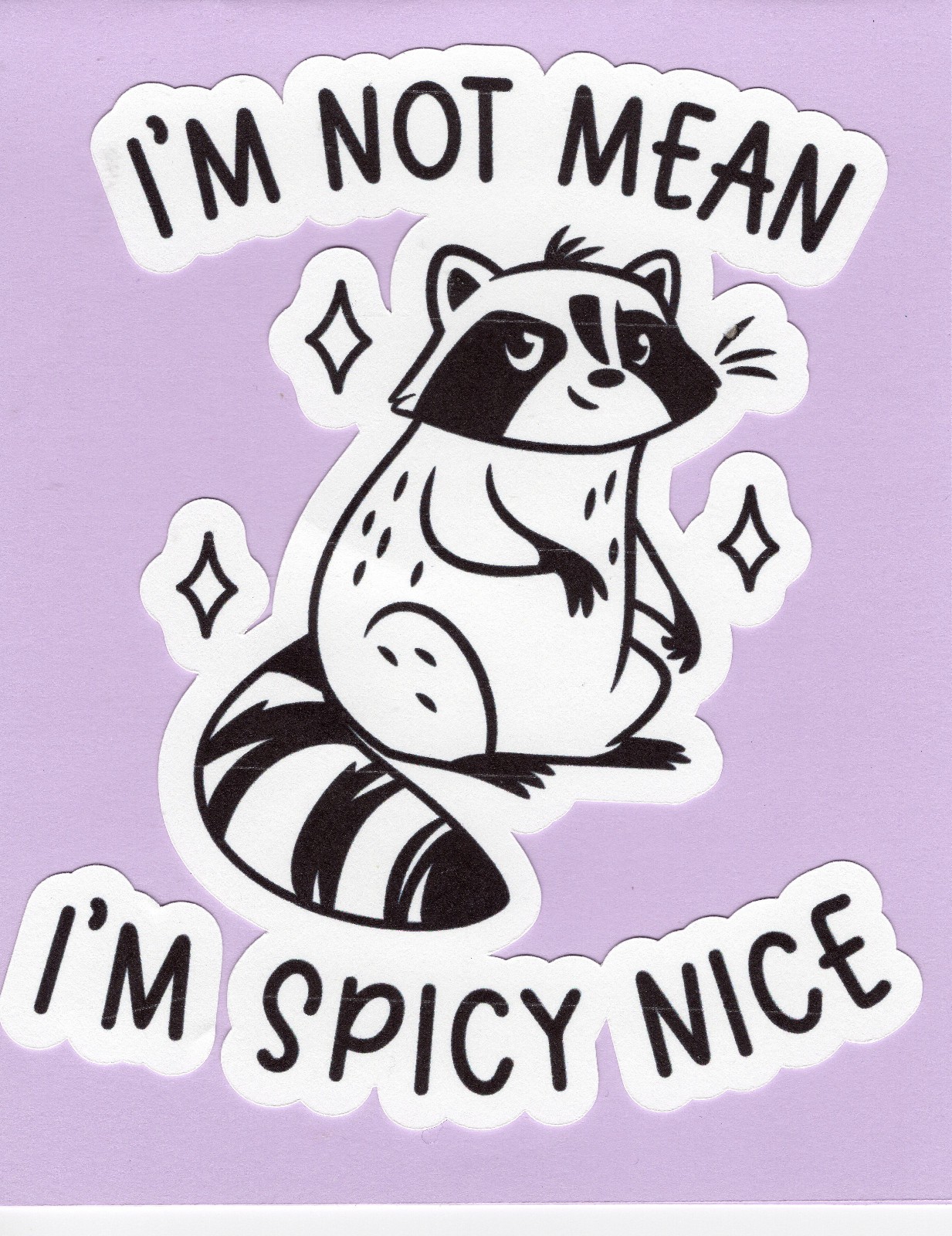 Greeting Card – Note Card 5.5 x 4.25 / Funny Humor Spicy Nice Raccoon TFC