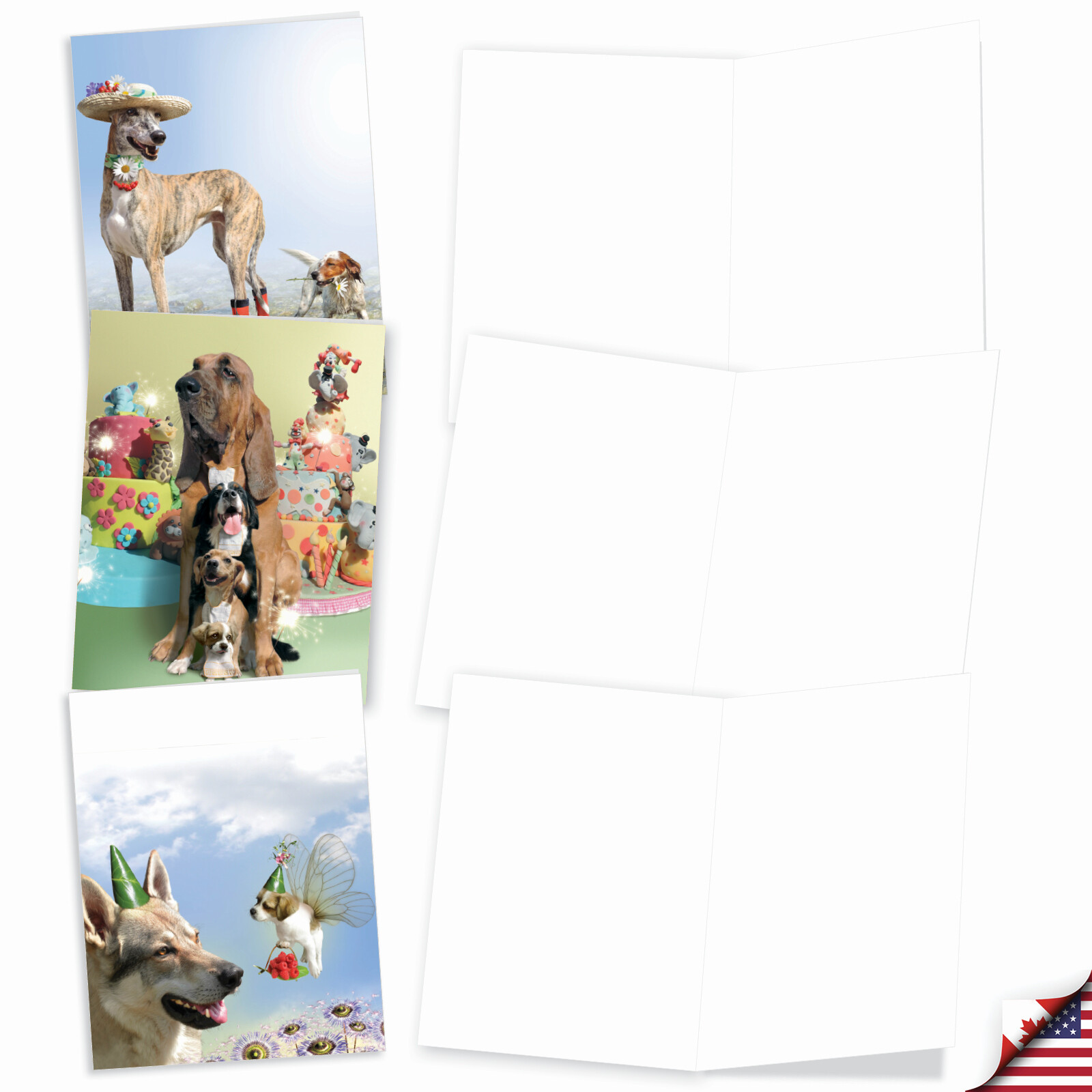 10 All Occasion Blank Cards Assortment – PUPPY LOVE M6546OCB