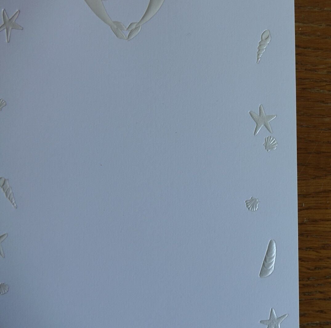 Invitations/Announcements Blank NO Envelopes