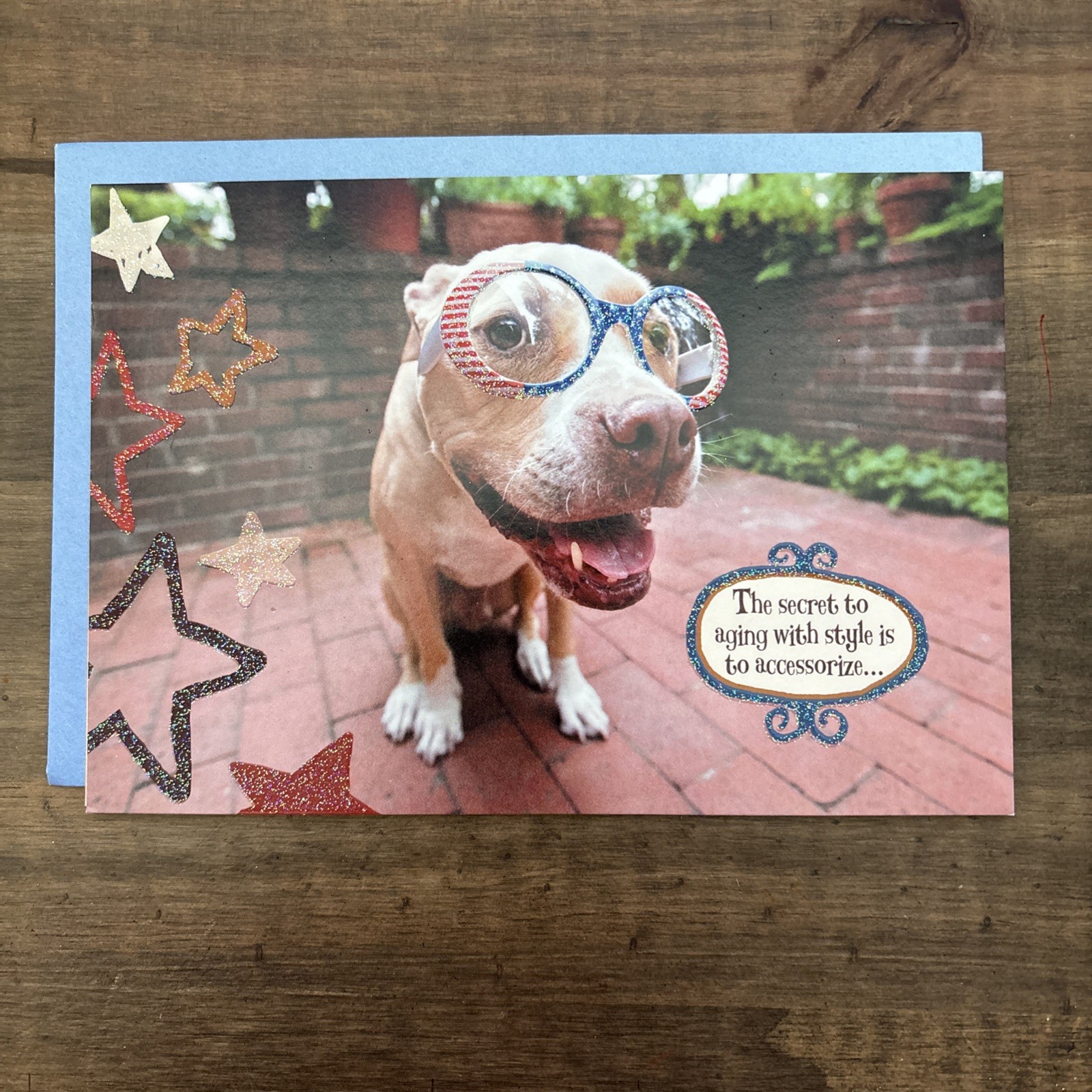 Leanin’ Tree BIRTHDAY Greeting Card “Accessorize” Cute Dog
