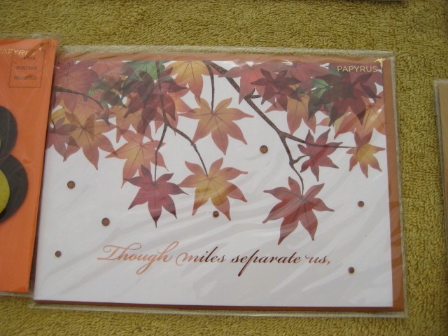 Lot of 6 PAPYRUS Thanksgiving Holiday Cards new sealed # X