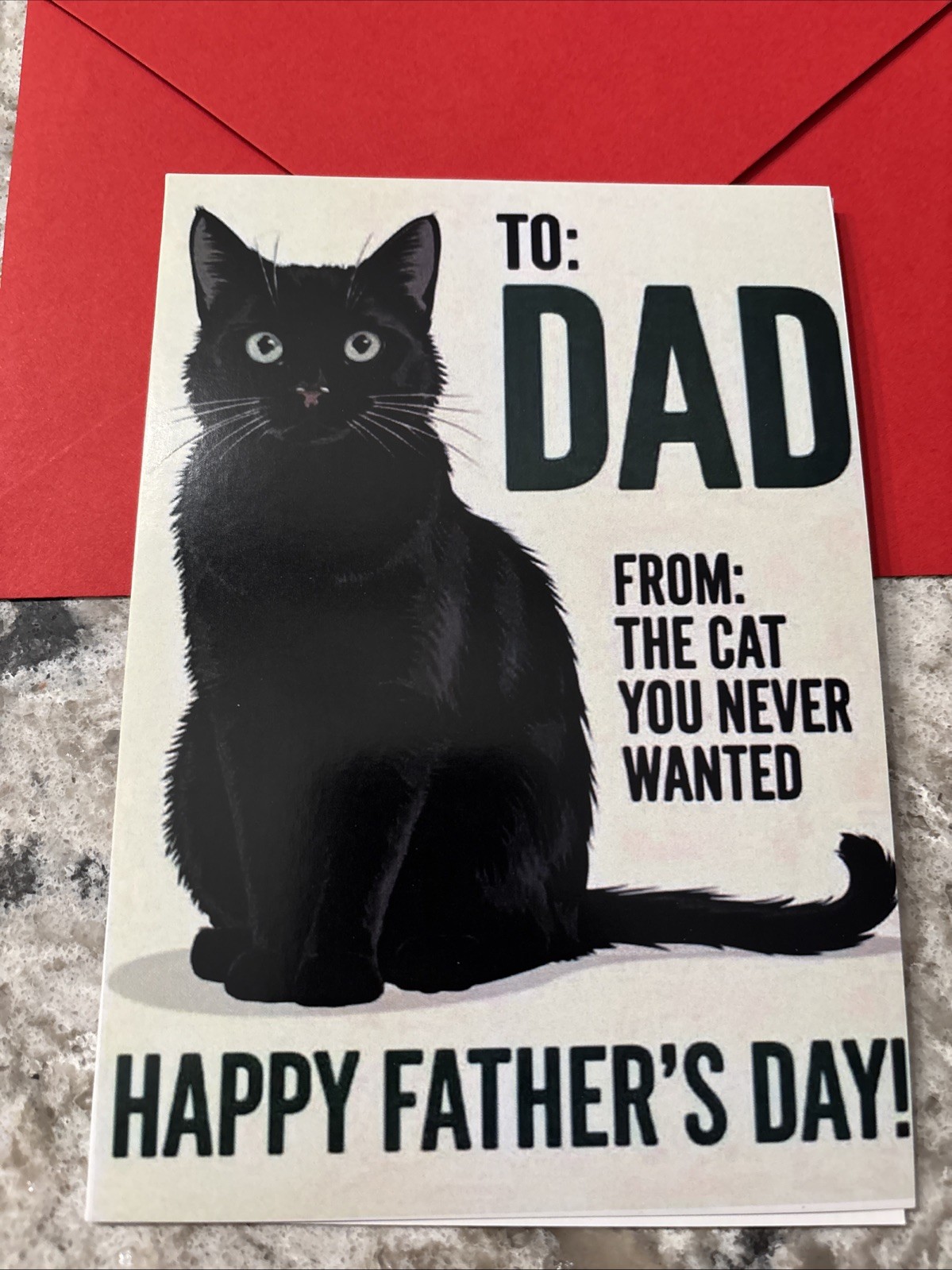 Father’s Day Funny From The Cat 4.6”x6.6” Blank Inside Greeting Card