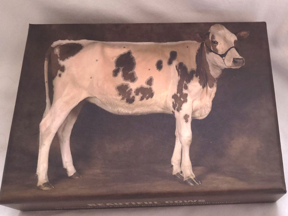 16 Beautiful Cows Notecards 4 different portraits 6″ x 4″ 2011