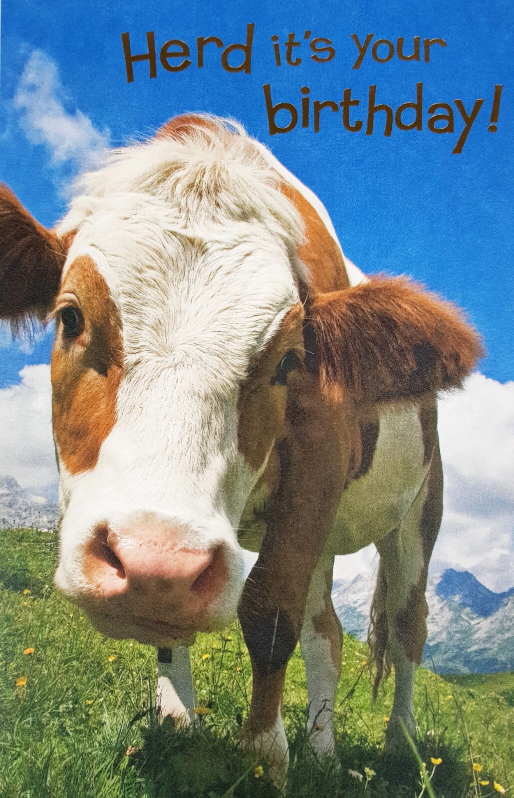 American Greetings Birthday Card “Milk it for all it’s worth!” Udderly Awesome!