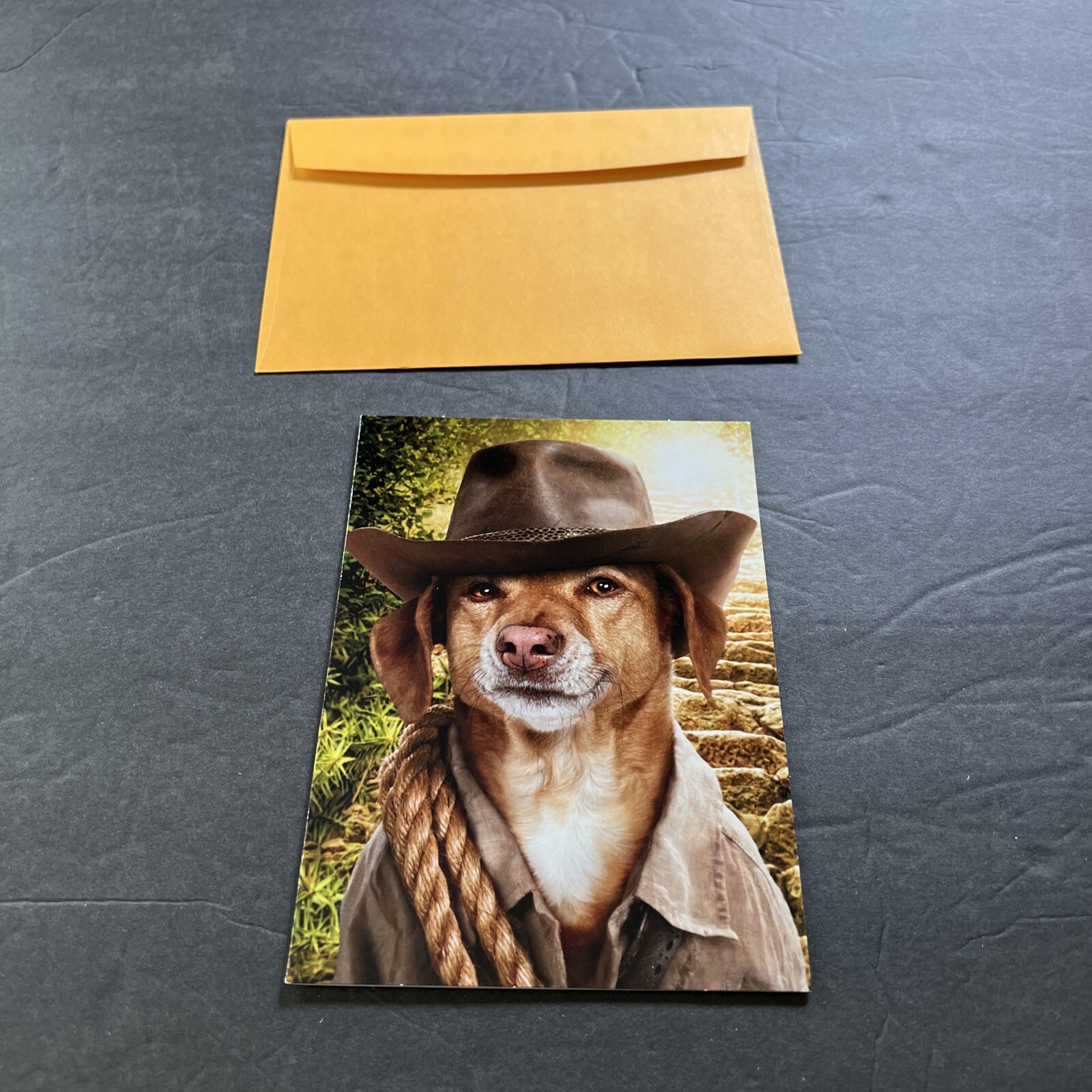 AVANTI PRESS HAPPY BIRTHDAY GREETING CARD New with Envelope Dog HERO