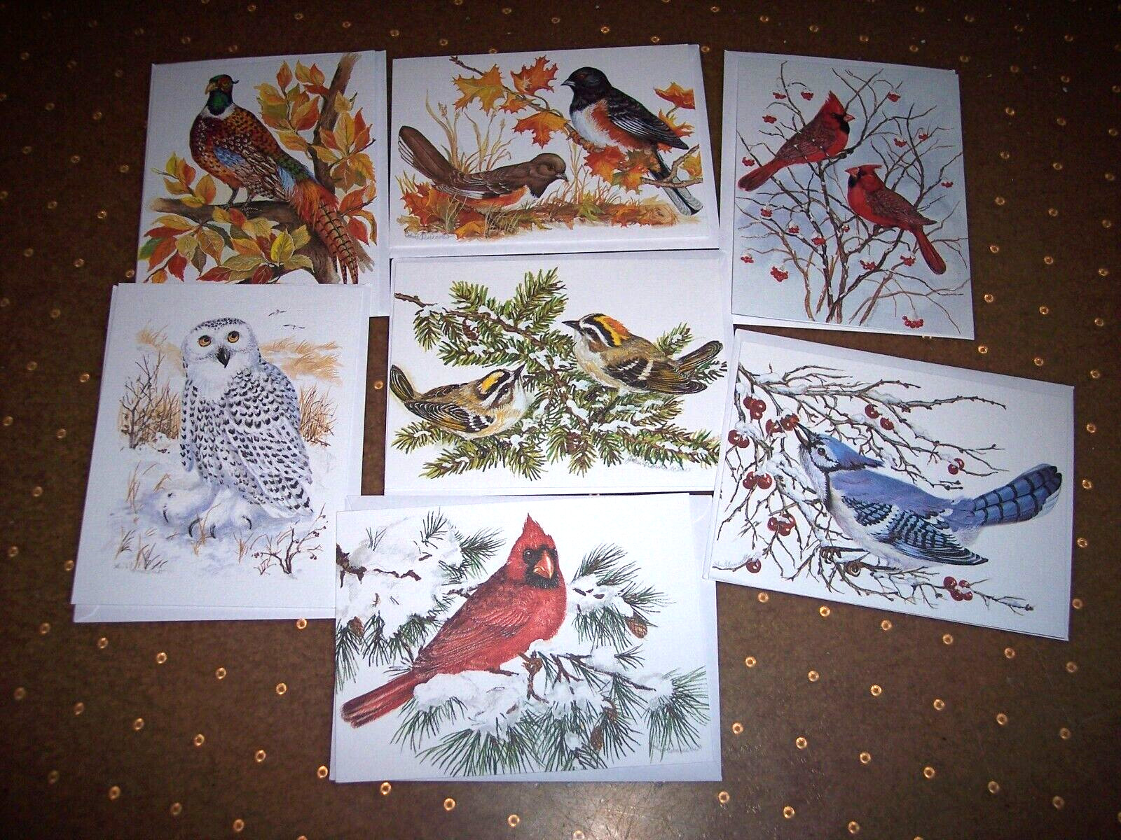 Lot 7 Bird Notecards PVA Paralyzed Veterans Of America
