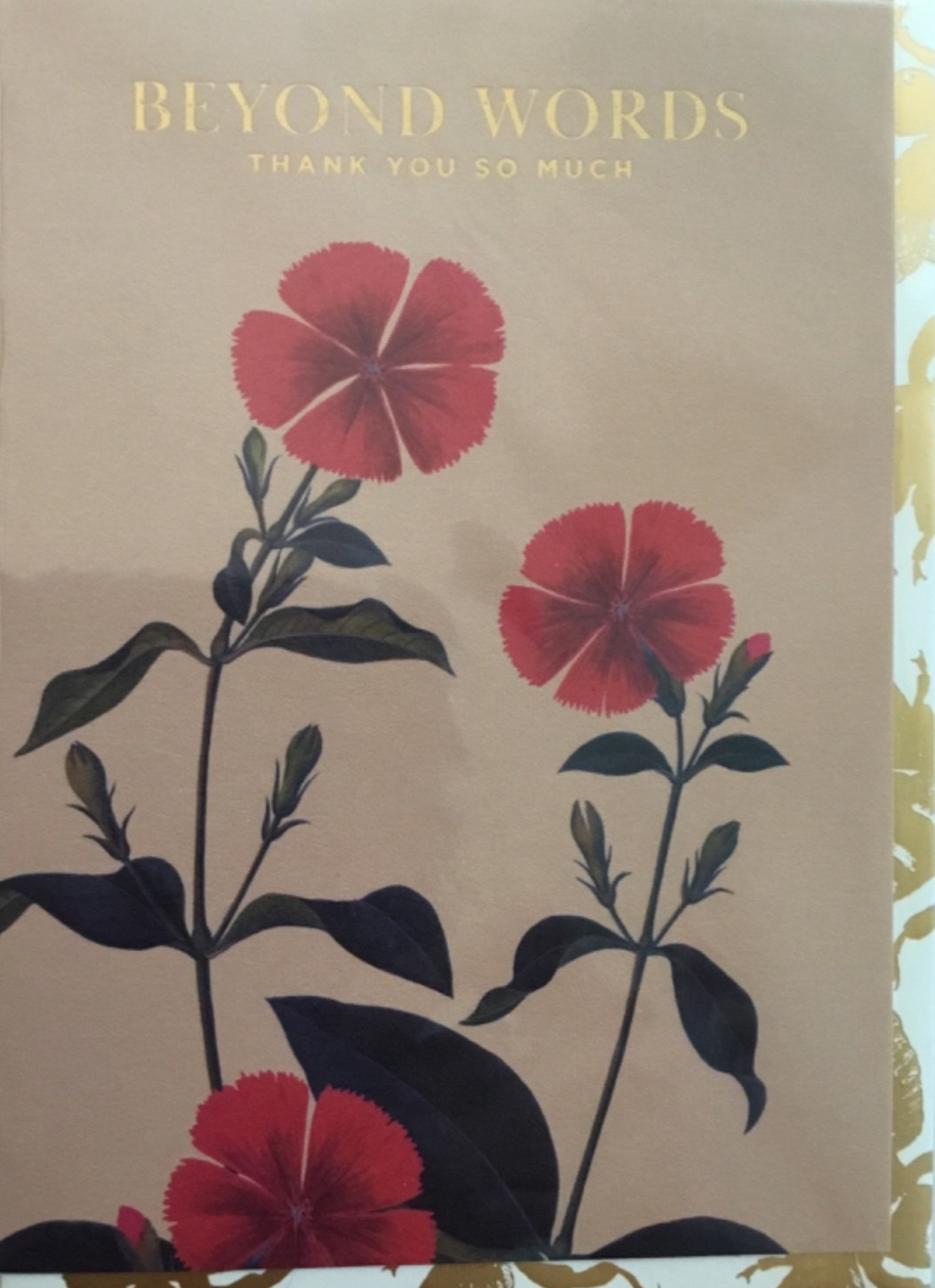 Royal Botanical Garden- Thank You / Blank Card & Decorative Envelope- UK