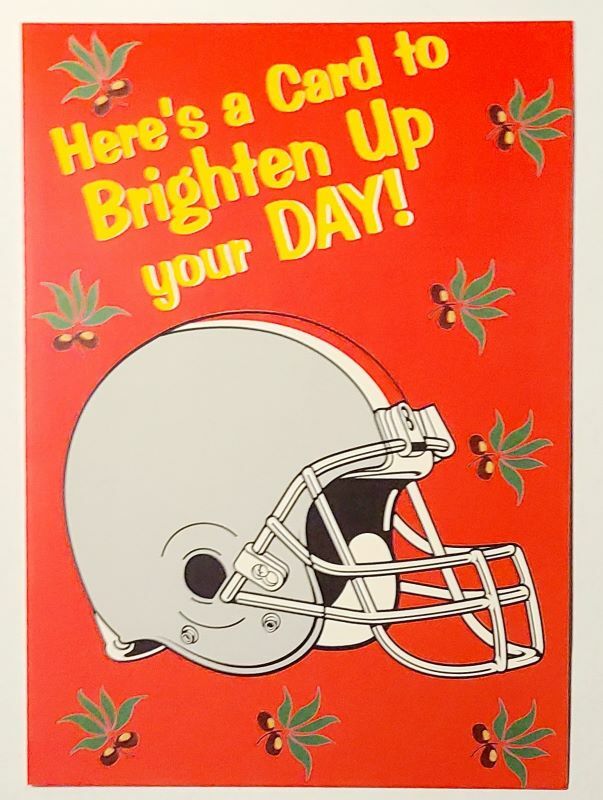 Ohio State Buckeyes Brighten Day Beat Michigan Rival Football College Big 10 B1G