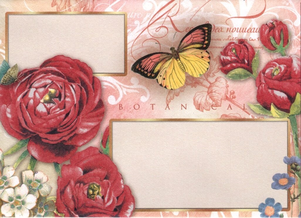 Red Roses Rose Butterfly Butterflies Blank Inside Note Cards – Set of 4