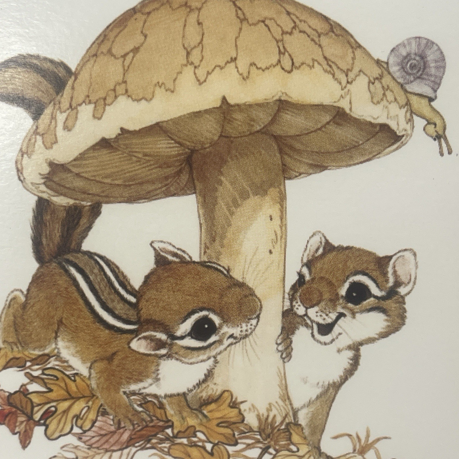7 VTG Thanksgiving Cards Snail & Squirrels Playing Hide & Seek By Mushroom 4×5