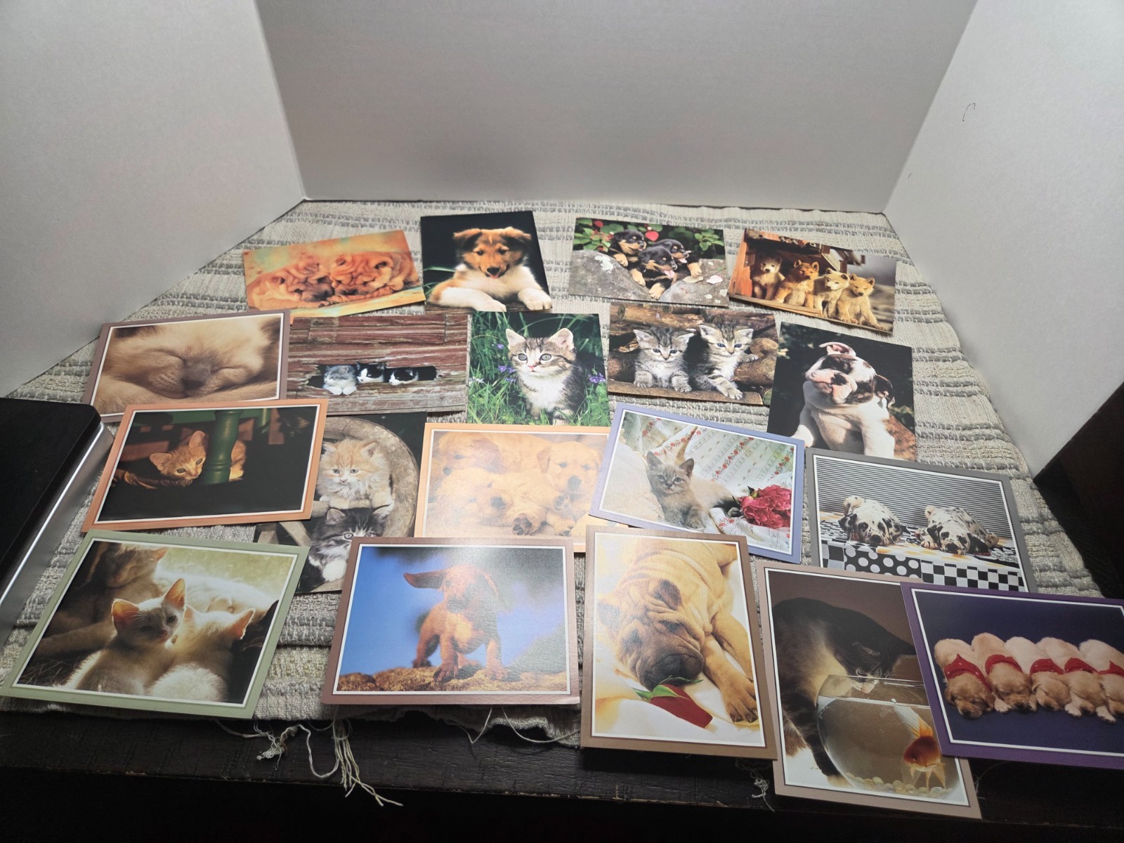 Puppies and kittens greeting cards lot of 19, any occasion