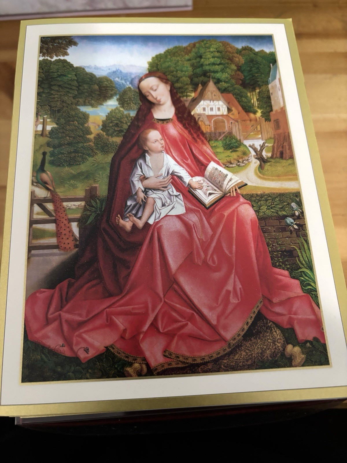 Caspari Boxed Christmas Cards Virgin and Child in a Garden NIOB 14 cards 16 env