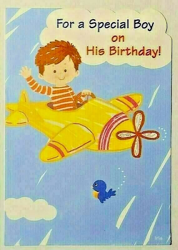 1 Birthday Greeting Card/Envelope Boy Child Kid Special Happy Airplane Bird Blue
