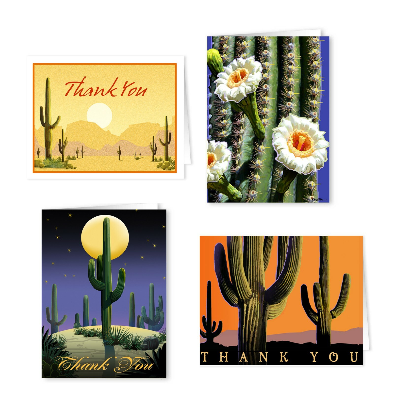 Assorted Desert Cactus Thank You Cards – 12 Boxed Cards and Envelopes – 14901