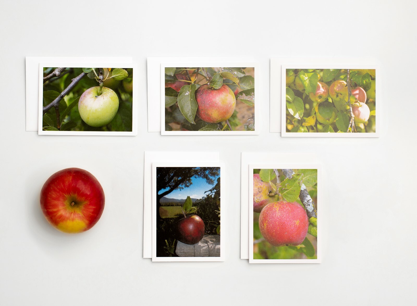 APPLE PHOTOGRAPHIC ORIGINAL NOTECARDS 12-PACK