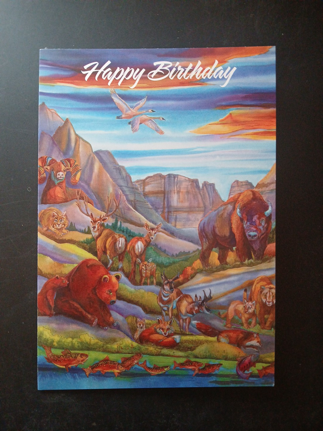 Funny Birthday Card