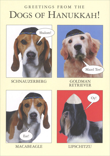 Recycled Paper Greetings Dogs Of Hanukkah Funny Humorous Hanukkah Card