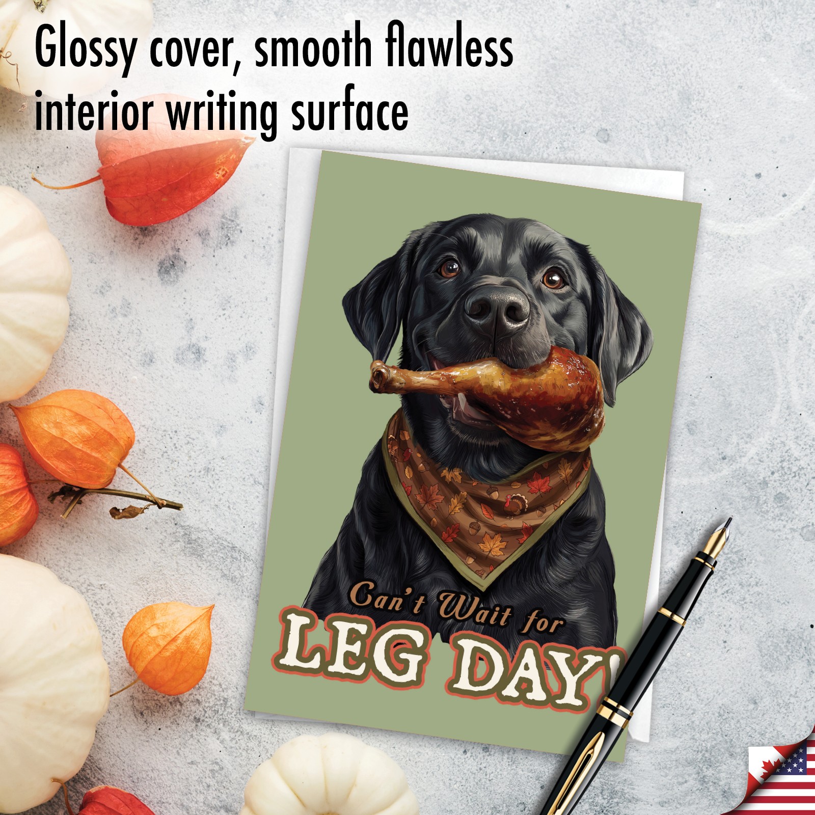 1 Funny Thanksgiving Greeting Card w/Envelope-Dog Leg Day
