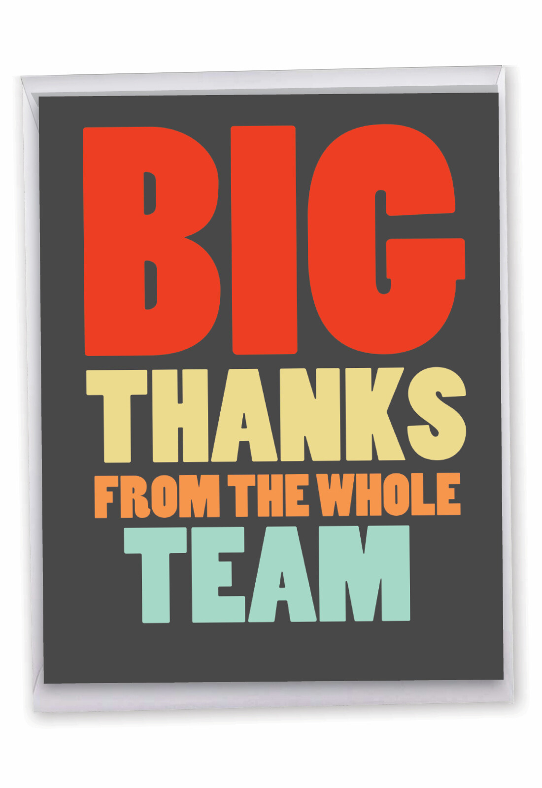 Funny Thank You Card (8.5 x 11 Inch) – Big Thanks From The Team J6884TYG-US