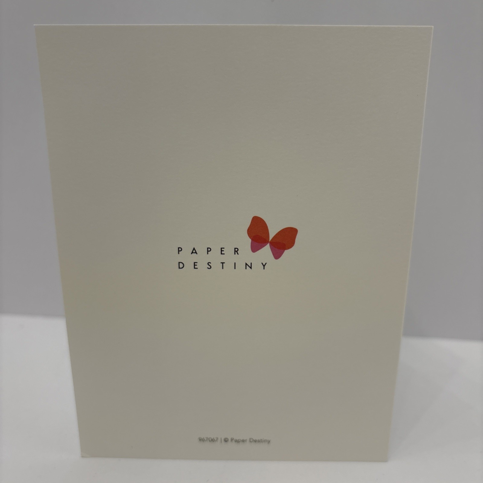 Paper Destiny Audrey Thank You Cards Fashion Lady 12 Cards 12 Envelopes USA