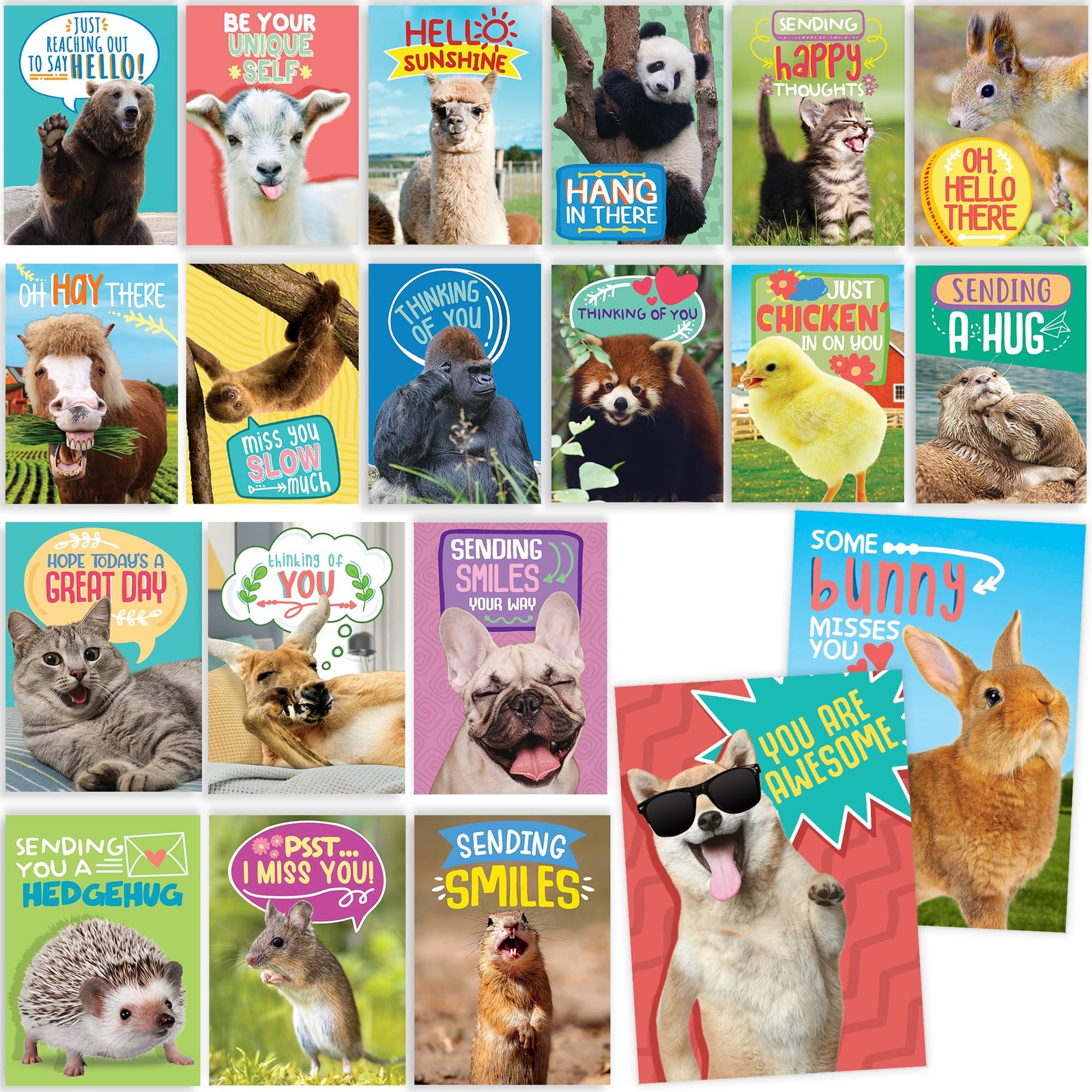 40 Funny Animal Postcards – Bulk Thinking of You Postcard Pack for Kids Students
