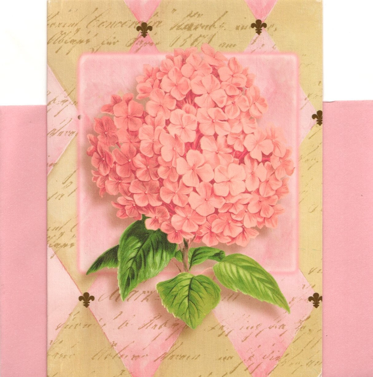 Spring Springtime Pink Hydrangea Hydrangeas Flowers Blank Note Cards – Set of 10