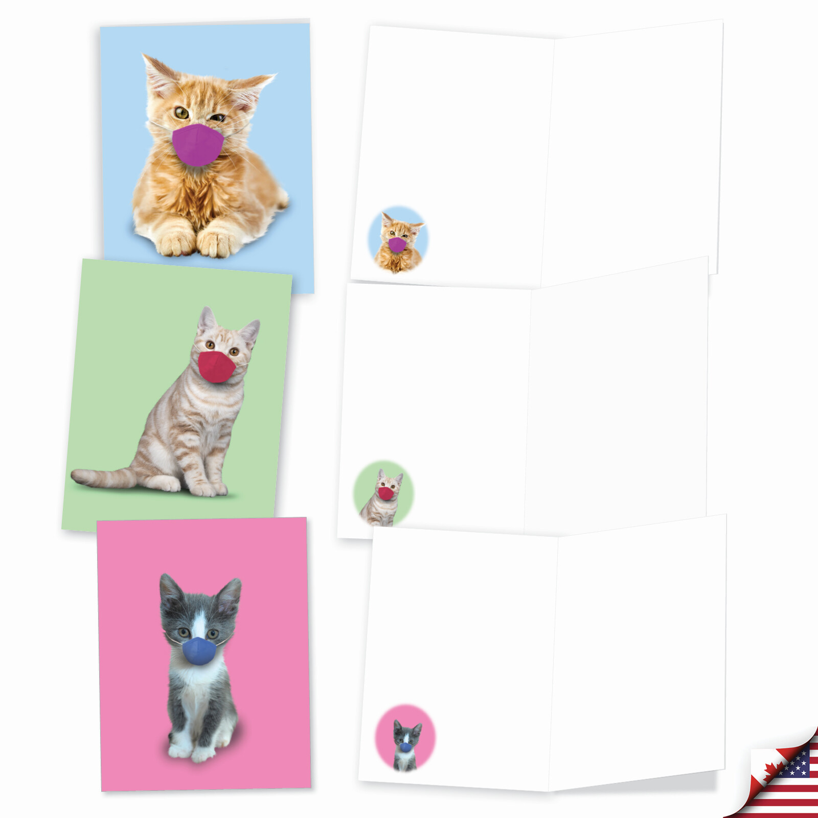 20 Blank All Occasion Cards (10 Designs, 2 Each) – Masked Cats AM9261OCB-B2x10